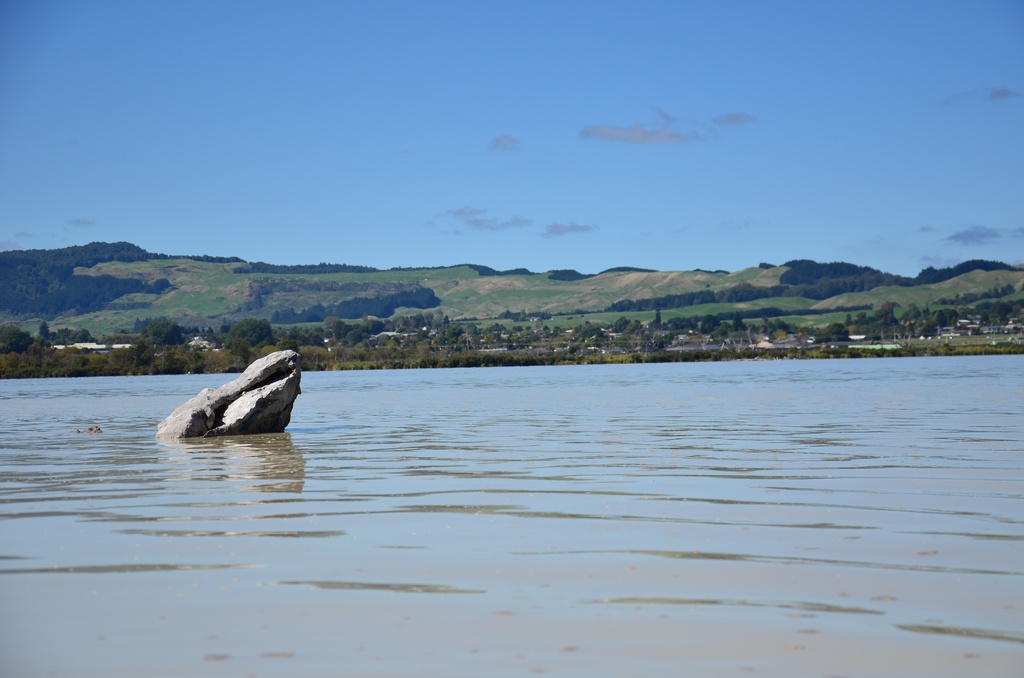 2017-03 New Zealand/Rotorua/DSC_0116.JPG